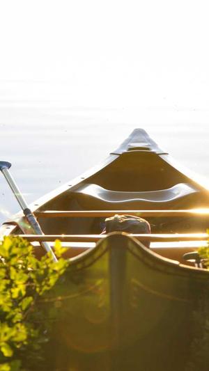 龙女塔罗黑料截图4